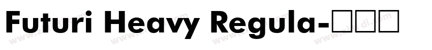 Futuri Heavy Regula字体转换